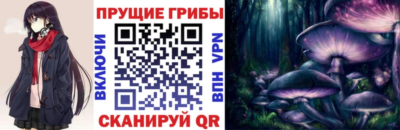 Галлюциногенные грибы GOLDEN TEACHER  где найти наркотики  Зеленоградск 